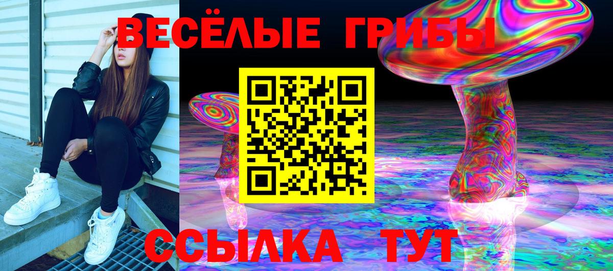 Галлюциногенные грибы ЛСД Балашиха