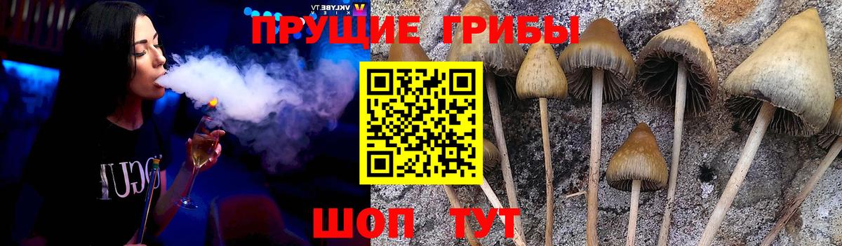 Галлюциногенные грибы MAGIC MUSHROOMS  Вход с VPN  Балашиха 